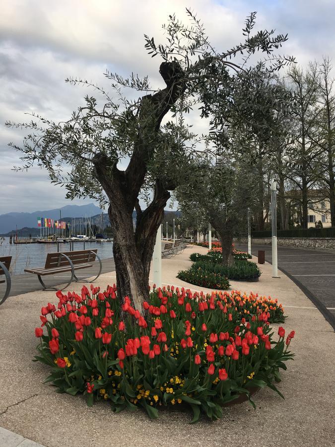 Caba Holiday Bardolino D'Annunzio Exteriör bild